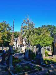 Friedhof_MonikaR-Kress_005---